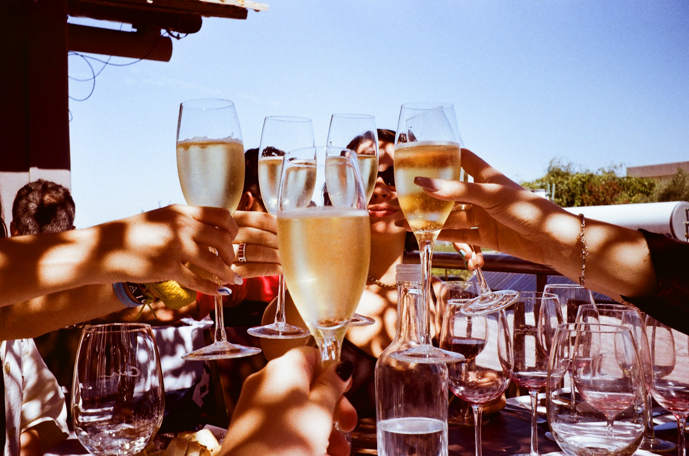 A group of friends toasting with wine glasses